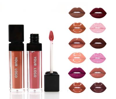 Cina 12 colori Matte Glitter Lip Gloss Set, lucentezza impermeabile del labbro 8ml in vendita