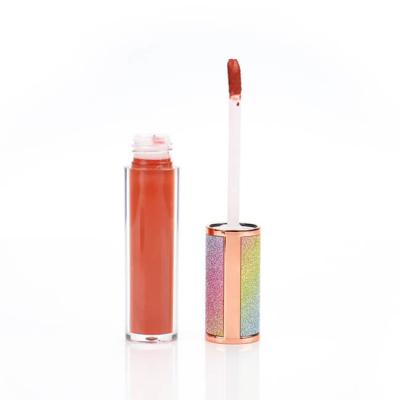 Cina 60 colori Matte Lip Gloss rosa, lucentezza organica del labbro dell'etichetta privata dell'OEM in vendita