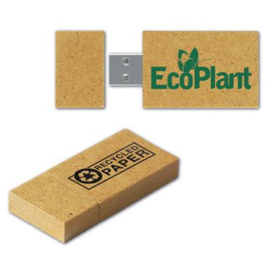 China Promotie Eco Friendly Paper USB Flash Drives met Custom Made Logo Te koop