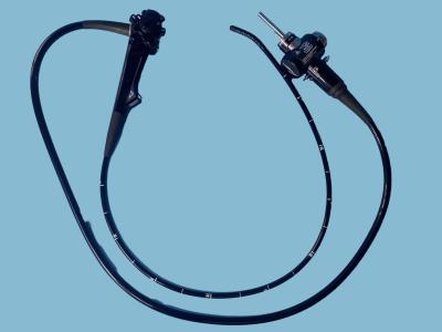 Chine GIF-Q260 Vidéo Gastroscope flexible Champ de vision 170 degrés Endoscope médical à vendre