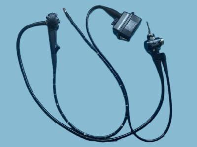 Chine GF-UE160-AL5 Ultrasons Gastroscope Portée flexible avec fonction de numérisation de 360° à vendre