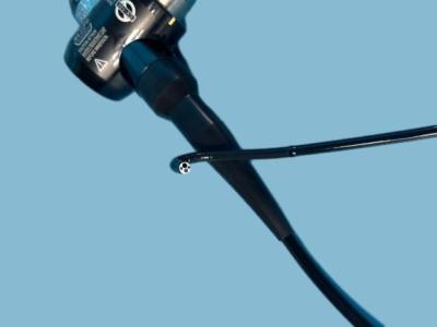 Chine BF-P150 Bronchoscope à portée flexible de 180 degrés avec canal instrumental de 2,0 mm à vendre