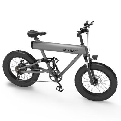 China Aluminum Alloy High Power Motor Suspension Full 20 Inch EMT Electric Mountain Bike for sale