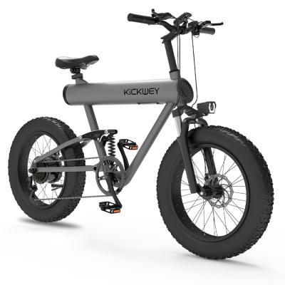 China Aluminum alloy 750W 1000W mid motor electric dirt bike ebike 1000W electric bike for sale