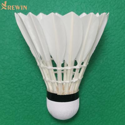 China Cheap hot sales Duck Feather Badminton Shuttlecock from club 407 for sale