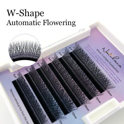 China NATUHANA Long New Natural Wholesale Price W Form Eyelash Extension Private Label And Best Quality Bulk Korean Silk Eyelash Extension for sale