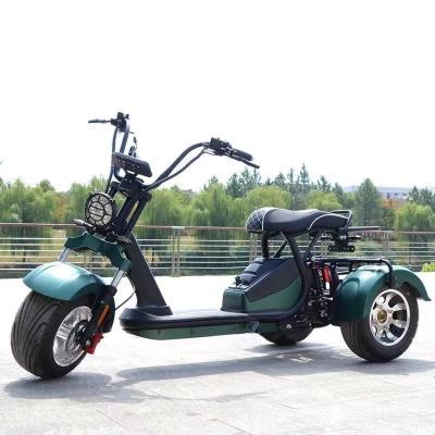 China Unisex 2000w Citycoco Scooter elétrico com 3 rodas e alcance de 60-80 km por carga à venda