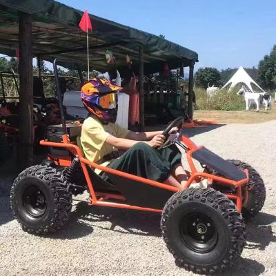 Chine Parcs d'attractions Location Golf Buggy Cart avec moteur sans balai de 1000W et certification CEE à vendre