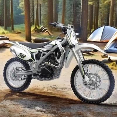 Κίνα Προσαρμοσμένη Υποστηριζόμενη 250cc Dirt Bike Enduro Μοτοσικλέτα με 200-400cc Μετακίνηση προς πώληση