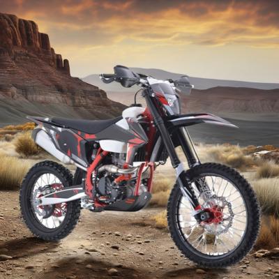 China Aotong Motor Pit Bike Dirt Bike Pocket Bike Moto Cross Supply Engine 300cc DISC de travagem à venda