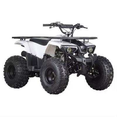 China 110cc-150cc Engine Racing ATV Kids Quadbike for Farm Maximum Torque ≤20Nm for sale