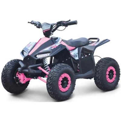 China Maximum Torque of 40-60Nm 1000W Electric Side by Side ATV for Unbeatable Performance à venda