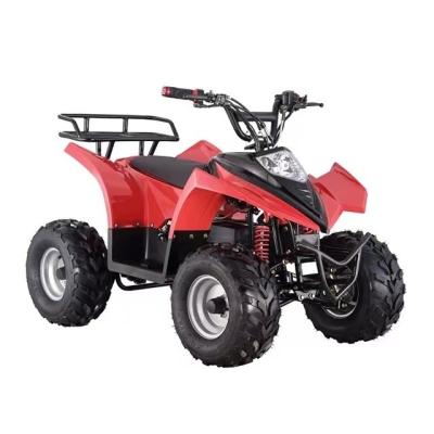 Κίνα Electric Quad ATV for Children 750W 800W 1000W 48V Tire 16x8-7 Driving Mileage ≤30km προς πώληση