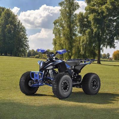 Κίνα 600-1000mm Wheelbase 1500W 1000W ATV Quad Bike Buggy UTV 1500W Driving Mileage 30-50km προς πώληση