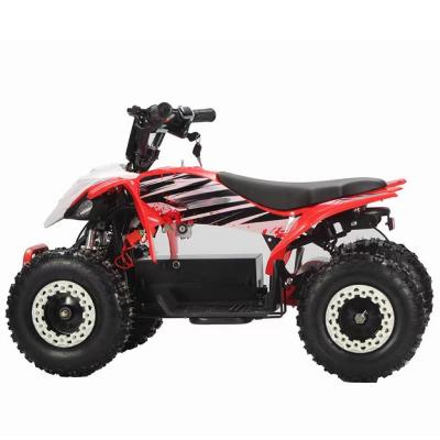 China Maximum Torque Nm ≤20Nm All Terrain Sports Atv Car Electric ATV 2WD Driving Type for sale