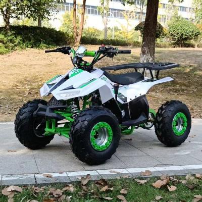 China 1250*760*800MM 110CC Displacement Kids ATV with Electric Start and Chain Drive zu verkaufen