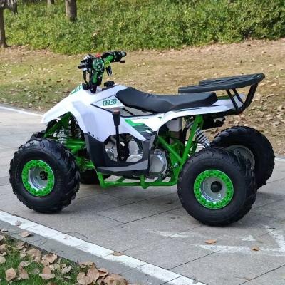 China Front Drum and Rear Disc Brake 4 Stroke Off-Road Vehicle with Chain Drive Transmission zu verkaufen