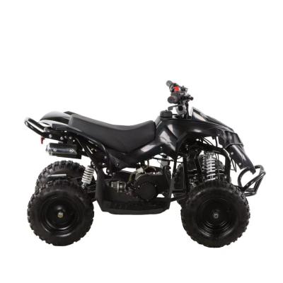 China Mini ATV 49cc Quad Bike for Kids and Adults Fuel Gas/Diesel Unequipped Differential Lock for sale