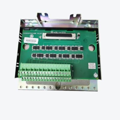 Cina GE FANUC 8220-DI-IS PAC8000 CHANNEL DISCRETE INPUT MODULE in vendita