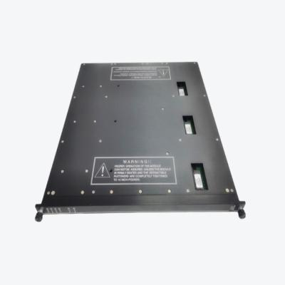 China EINGEGEBENES TERMINALmodul TRICONEX 9766-510 THERMOELEMENT zu verkaufen