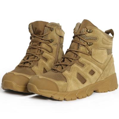 China Wholesale Custom Outdoor Activities TACTICHO Tactical Combat Desert Outdoor Rise Camouflage Shoes Assault Side Zipper Tactical Boot for sale