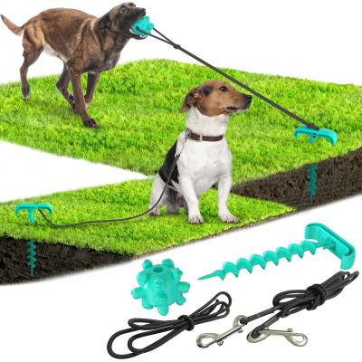 China Hot Sale Viable Outdoor Portable Dog Stick Fixed Pile Tethering Dog Leash Placing Binding Ground Pet Anchor Pile And Molar Bite Toy for sale