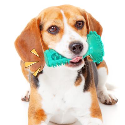 China Viable Durable Rubber Bone Shaped Chew Toy For Dog Interactive Puppy Toy Toothbrush Aggressive Chewer for sale