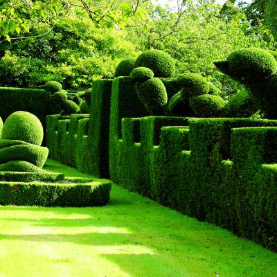 China Stunning Artificial Landscape Trees Garden Decoration Topiary Animal Boxwood Green Plant for sale