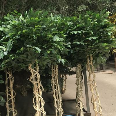 Chine Arbre vert d'intérieur de ficus d'usine de Faux d'arbre artificiel mis en pot de ficus avec la conception exquise à vendre