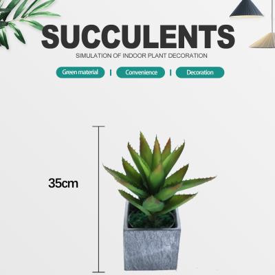 中国 屋内装飾的と結婚しているプラスチック人工的な植物のSucculents 販売のため