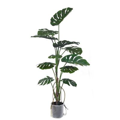 China Monstera Artificial Green Plant Hall Living Room Bonsai Landscape wind resistance for sale