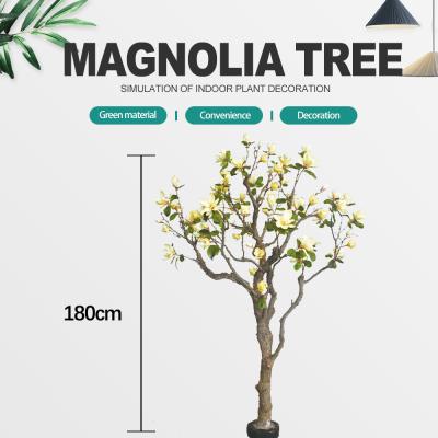 China Customized Large Plastic Artificial Magnolia Tree 600cm Height for sale