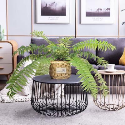 China Plastic Home Artificial Phoenix Fern Plants Branch Wedding Centerpiece Indoor Decorative for sale