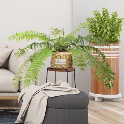 China De hoge Uvinstallaties Fern Tree For Garden Decoration van de Bewijs Openlucht Kunstmatige Ingemaakte Vloer Te koop