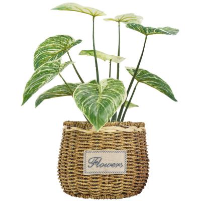 China PE Artificial Potted Floor Plants For Fake Plant Philodendron Birkin for sale