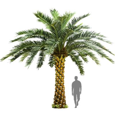 China No Nursing Store Artificial Landscape Trees Big Date Palm Tree Customized Size for sale