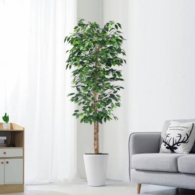 China Flammhemmende künstliche Ficus-Anlage H180cm, Ficus-gefälschter Baum-natürlicher Blick zu verkaufen