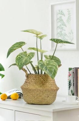 Chine Philodendron mis en pot artificiel Birkin d'usines de plancher de petits articles ornementaux à vendre