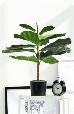 China Harmlose künstliche Innentopfpflanze Ficus Lyrata 65cm für Garten-Dekor zu verkaufen