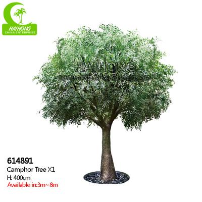 Cina Facile preoccuparsi H400cm Laurel Tree Anti Fading artificiale realistico in vendita