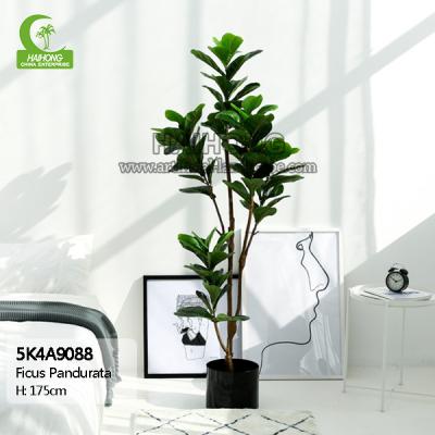 China Fábrica artificial decorativa de las plantas verdes de los ficus de Pandurata Hance de los bonsais artificiales del verde barato en venta