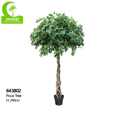 China Falsa planta estética ignífuga de los ficus, palmera artificial de los 8ft en verde en venta