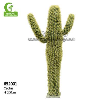 China Height 200cm Artificial Succulent Plant , Artificial Large Cactus Plants  Realistic for sale