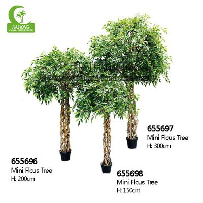 Cina Nessun albero di plastica di cura di ficus di H150cm, piccolo bene durevole artificiale dell'albero in vendita