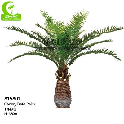 China Árbol tropical artificial estético de la altura los 280cm para la decoración de la oficina en venta