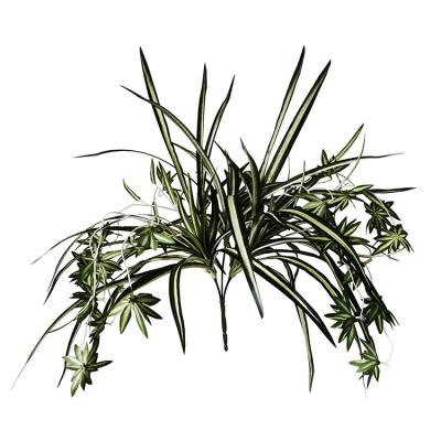 China Fire Retardant Anti UV Artificial Spider Plant , Silk Spider Plant Aesthetic for sale