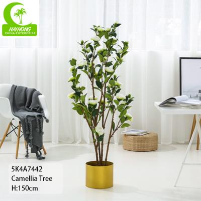 Κίνα ανθεκτικό τεχνητό Ficus δέντρο 150cm. Τεχνητό δέντρο καμελιών με το άσπρο λουλούδι προς πώληση