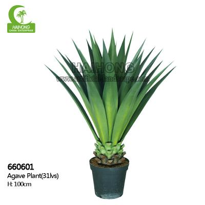 China Succulents artificiales verdes reales de la altura el 100cm del tacto en potes en venta