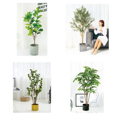 China Fácil estético da decoração da casa importar-se a árvore artificial 1.6m do ficus à venda