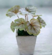 China 27cm Begonia Artificial Potted Floor Plants de Decoratie van het Lijstoffice home Te koop